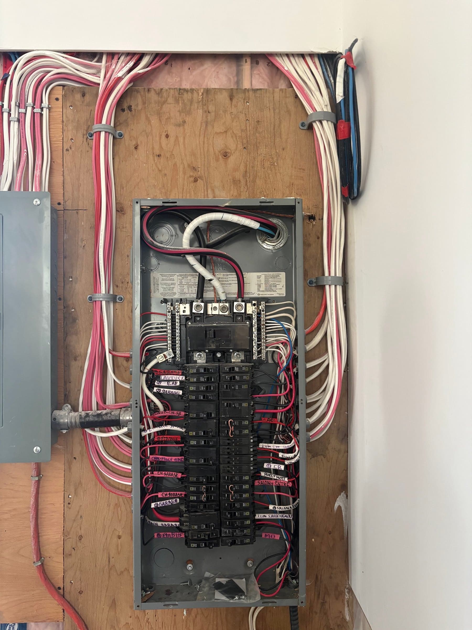 Panneau électrique résidentiel ouvert, câblage ordonné et circuits identifiés